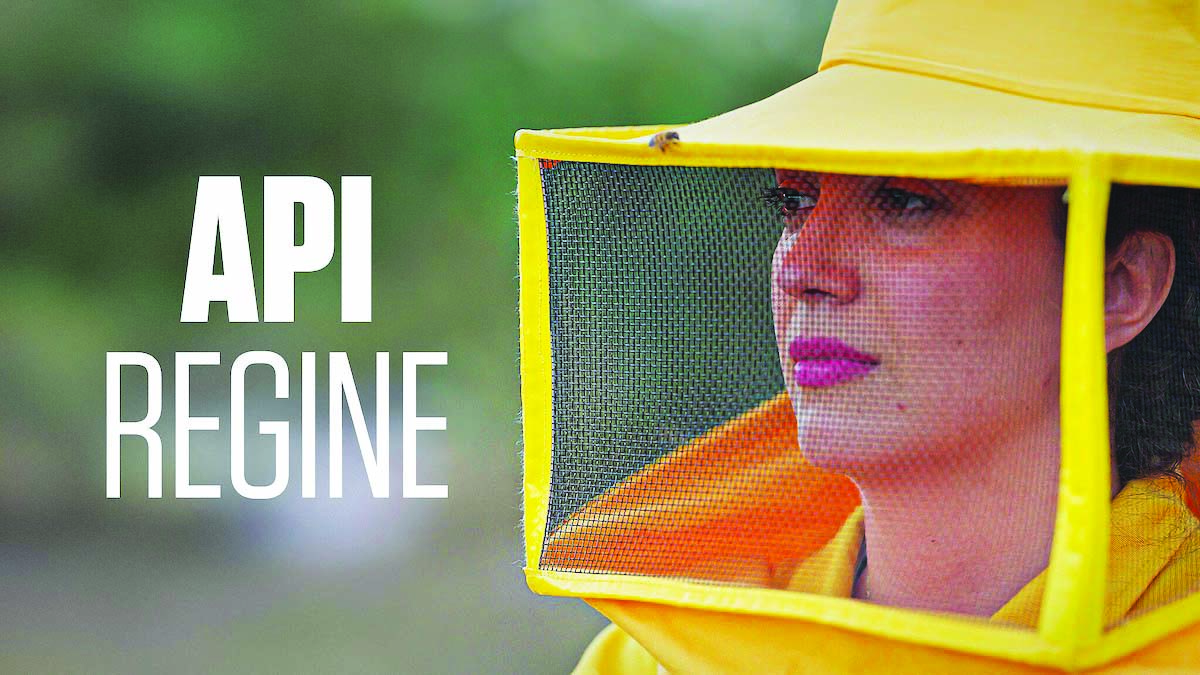 Api regine