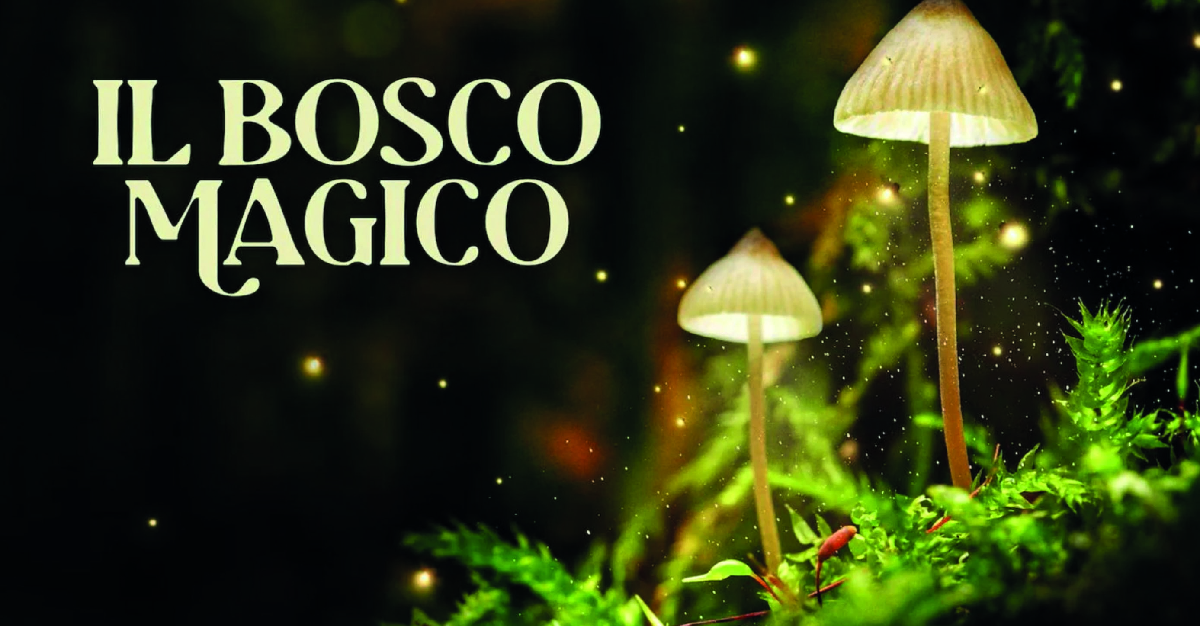 Il bosco magico