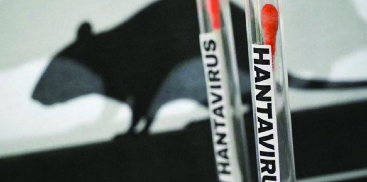 Hantavirus: incubo e fake news