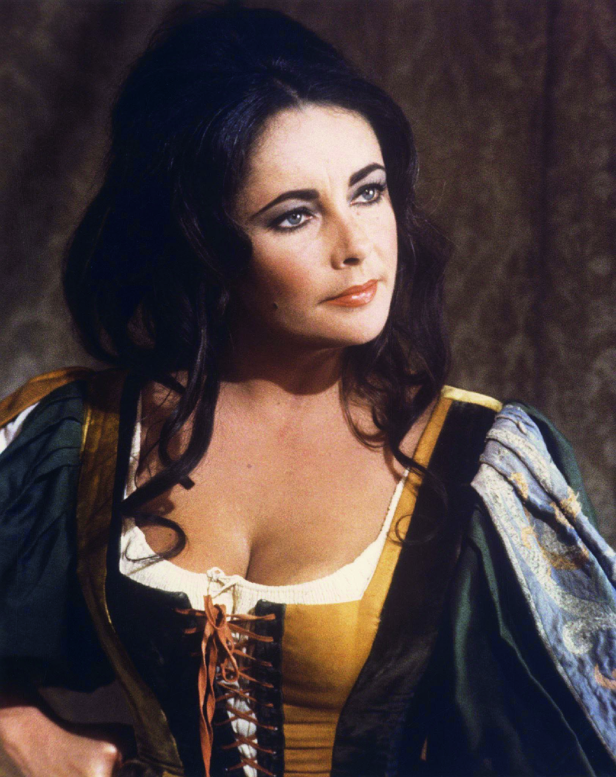 La bisbetica domata