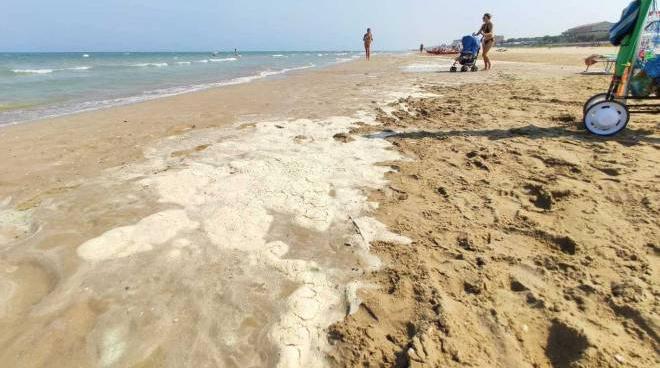 fano schiuma nel mare di torrette arpam fenomeno naturale cronaca ilrestodelcarlino it