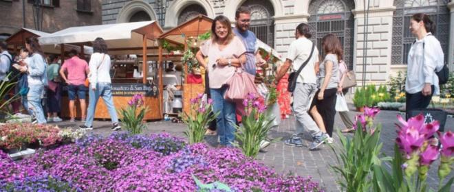 Bologna Torna Il Mercato Dell Antiquariato In Piazza Santo Stefano Ecco Le Nuove Regole Cosa Fare