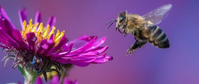 Pensiero Fisso Ecco Come Eliminarlo Magazine Quotidiano Net